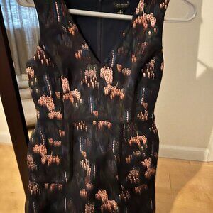Anne Taylor holiday dress